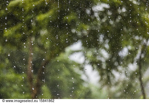 Riesige Regentropfen fallen während eines Tropensturms vom Himmel