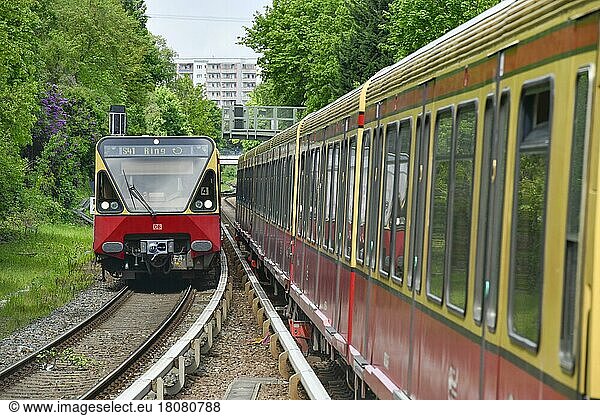 Ringbahn S 41 und S 42  S-Bahn  Friedrichshain  Berlin  Deutschland  Europa