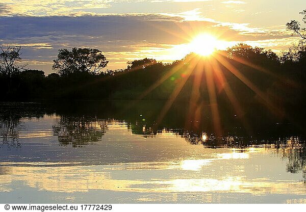 Rio Pixaim Pantanal  Fluss  Flusslandschaft  Pantanal  Mato Grosso  Brasilien  Südamerika