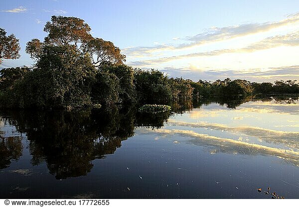 Rio Pixaim Pantanal  Fluss  Flusslandschaft  Pantanal  Mato Grosso  Brasilien  Südamerika