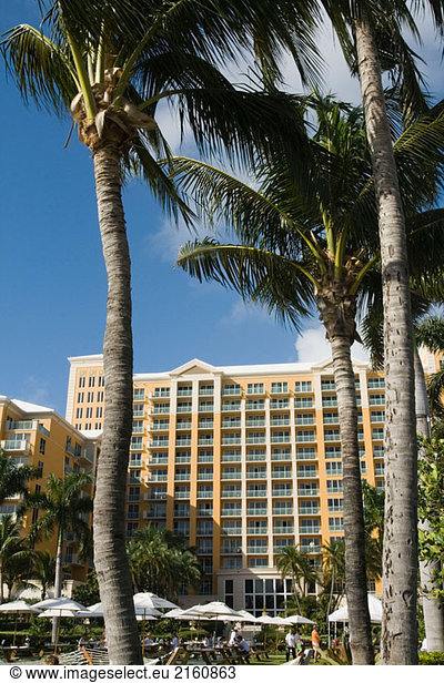 Ritz Carlton Hotel Key Biscayne. Miami Bereich (Key Biscayne). Florida. USA.