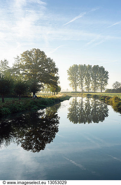 River Mark in early morning sunlight  Netherlands