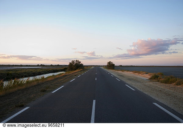 Road at sunset  leading through dry salt marsh near Saintes-Maries-de-la-Mer  Camargue  South of France