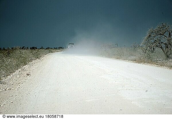 Road C38  white dust  Etosha National Park  Republic of Namibia