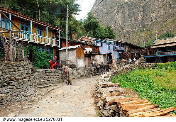 Road in village chame   Nepal