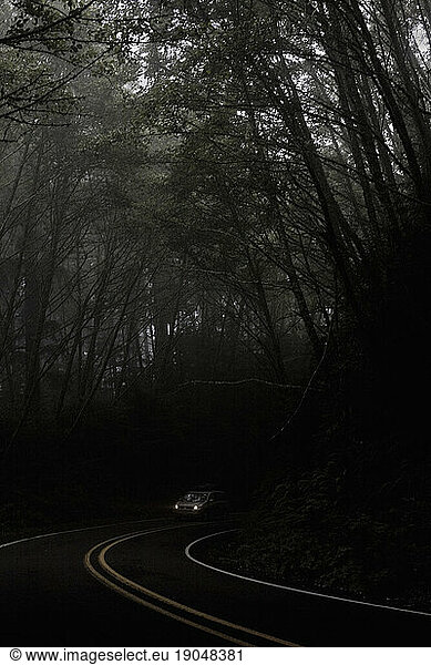 Road Landscape