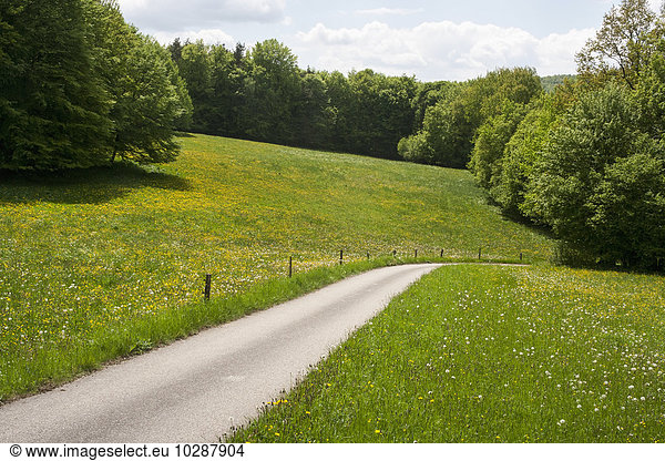 Road passing through rural landscape  Bavaria  Germany