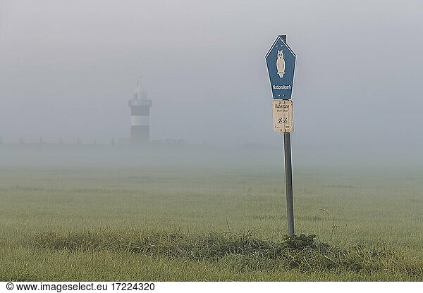 Road sign standing at edge of meadow shrouded in fog