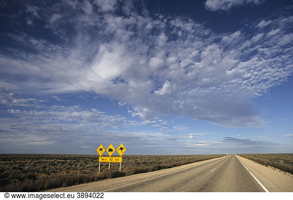 Road sign warning of feral camels wombats and kangaroos crossing Nullarbor Plain South Australia Australia