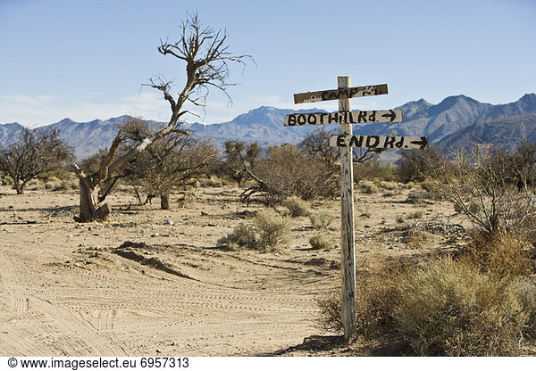Road Signs in Desert  Nevada  USA