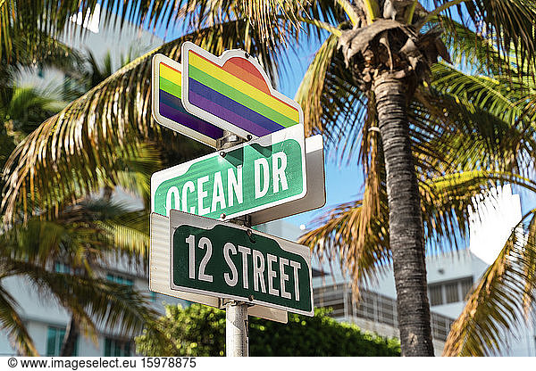 Road signs with rainbow flags against palm trees at ocean drive