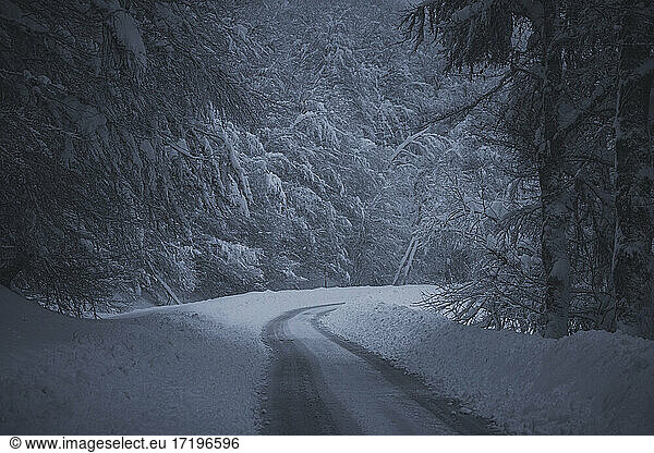 road through the forest in a snowfall