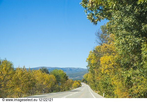 Road to Rascafria in Autumn. Sierra de Guadarrama National Park  Madrid province  Spain.