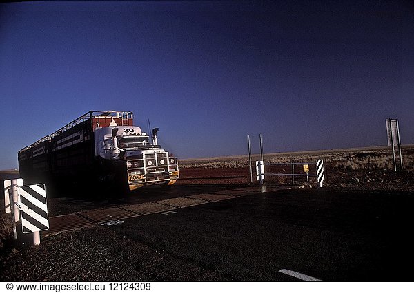 Road train on barklay highway. N T  australia 1993