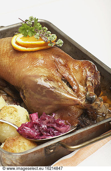 Roast duck in roasting tray  close-up