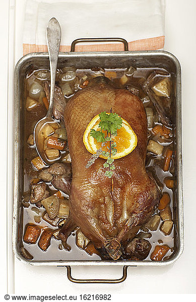 Roast duck in roasting tray  elevated view