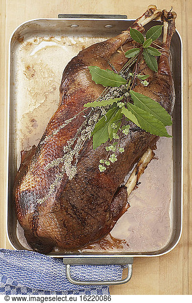 Roasted goose in roasting tray  elevated view