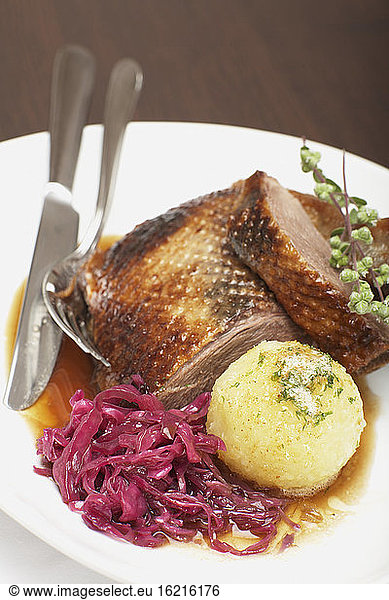 Roasted goose with red cabbage and dumpling on plate  close-up