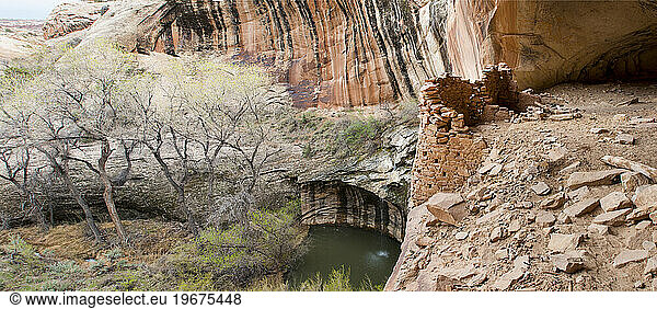 Rock cave in Comb Ridge  Bears Ears National Monument  Utah  USA