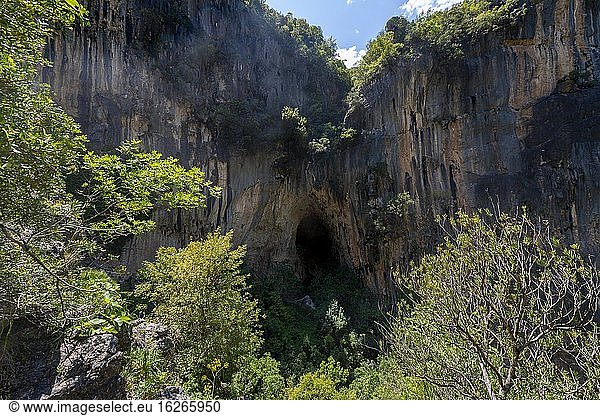 Rock face with cave  canyon with green trees  Garganta Verde  Sierra de Cádiz  province of Cádiz  Spain  Europe