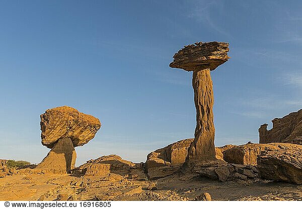 Rock formation  Hoodoo  Ennedi Plateau  Chad  Africa