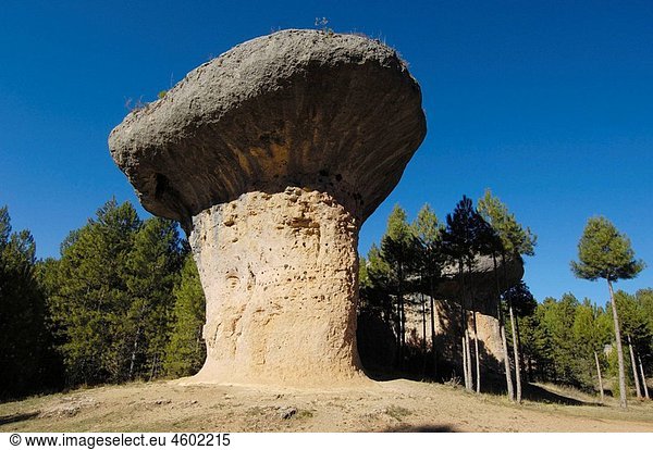Rock formations at the Enchanted City (Â¥La Ciuda EncantadaÂ¥). Cuenca province  Castilla-La Mancha  Spain.