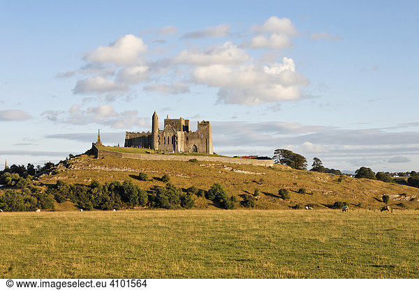 Rock of Cashel der Sitz der irischen Hochkönige  Cashel  Tipperary  Irland