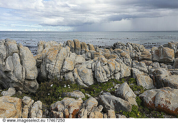 Rocky jagged coastline  eroded sandstone rock  view out to the ocean