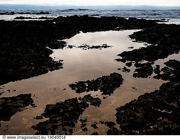 Rocky tide pool at ocean's edge reflecting sky