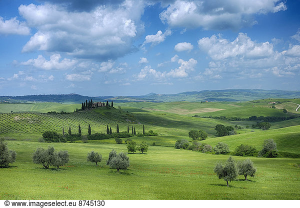 rollen  Wolke  Landschaft  grün  flauschig  Italien  Pienza  Toskana