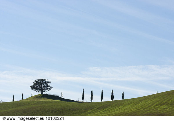 Rolling hills and cypress trees under a blue sky in Tuscany.