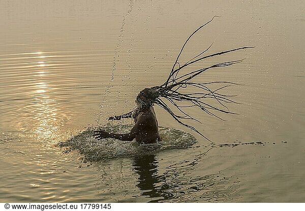 Rom Baba mit Wasser  das aus seinen fliegenden Dreadlocks im Fluss Ganges spritzt  For Editorial Use Only  Allahabad Kumbh Mela  World's largest religious gathering  Uttar Pradesh  Indien  Asien