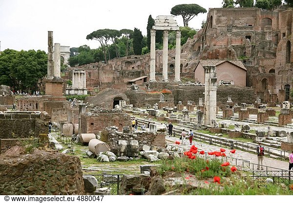 Rom  Hauptstadt  Forum Romanum  Italien