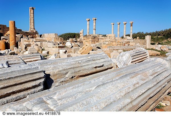 Roman columns at the Old Forum  Leptis Magna  Libya