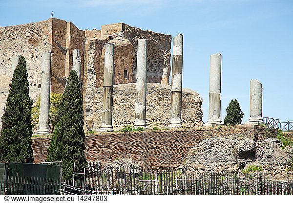 Roman Forum  Via Sacra street Rome  Lazio  Italy  Europe