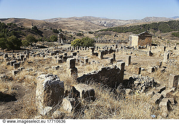 Roman Ruins  View Towards Severan Temple; Djemila  Algeria