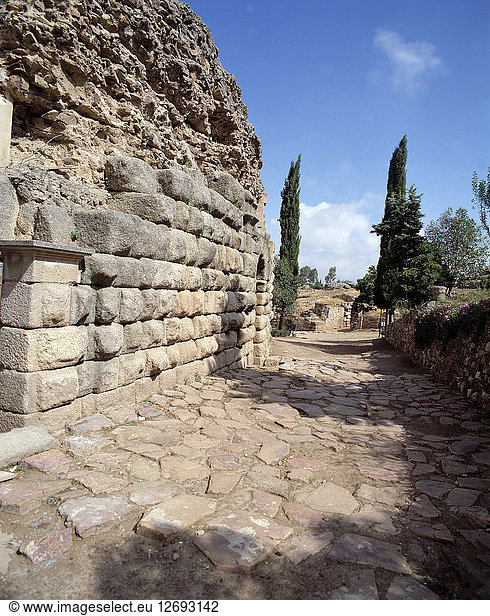 Roman Theatre of Mérida  remains of the road that gave access to the entrance vomitoriums of the ?