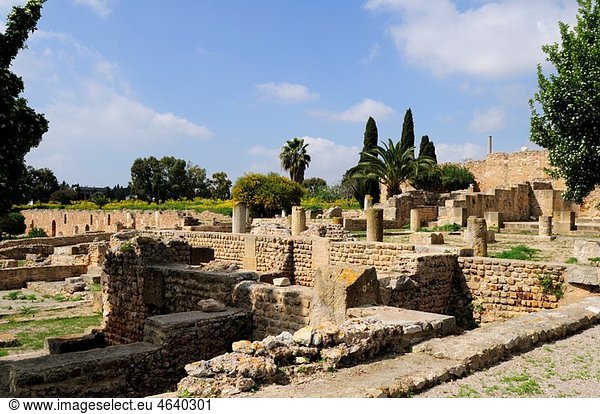 Roman Villas  Carthage  Tunis  Tunisia  North Africa