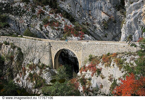 Romanische Brücke  Clue de Riolan  Departement Alpes-Maritimes  Frankreich  Europa