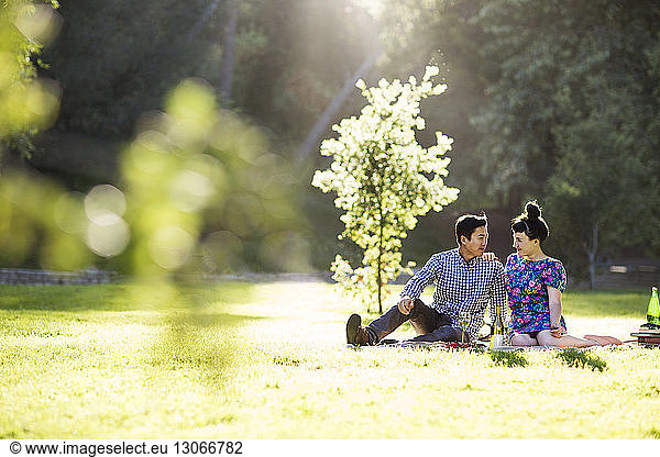 Romantic couple sitting on grassy field