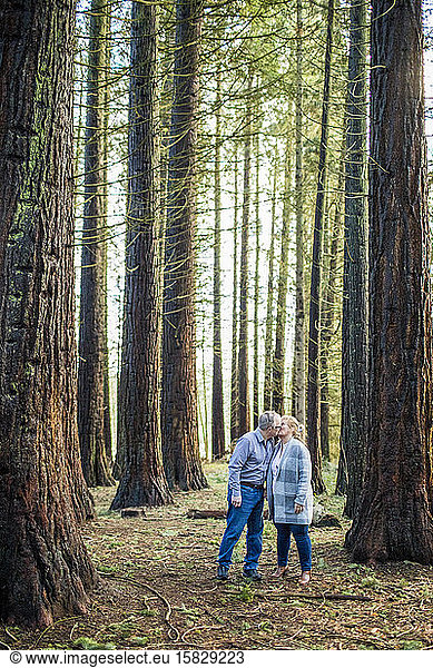 Romantic retired couple kissing in the forest.