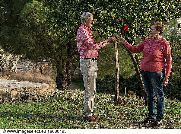 Romantic senior couple with flowers in garden