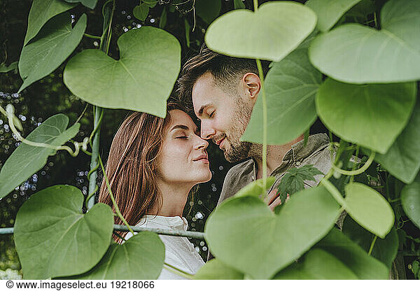 Romantic young couple amidst plants in garden