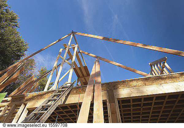 Roof rafters on home under construction