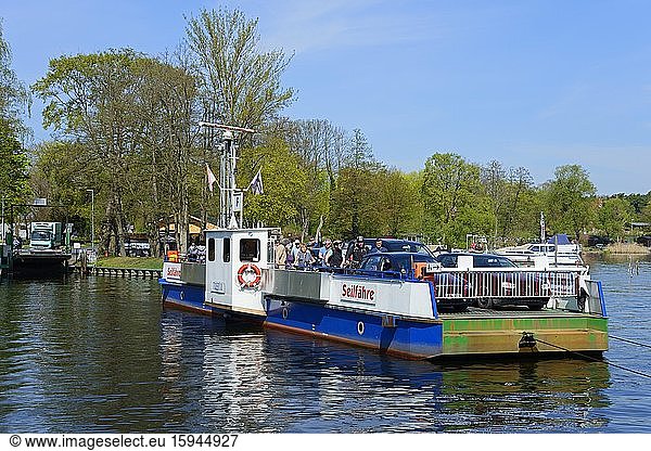 Rope ferry Caputh connects Caputh and Geltow over the Havel  Brandenburg  Germany  Europe