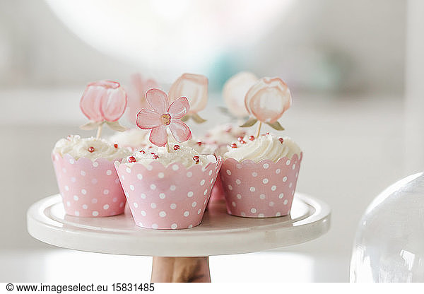 rosa Muffins