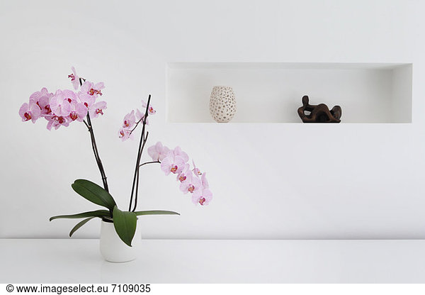 Rosa Orchideenpflanze und Ornamente im Zimmer