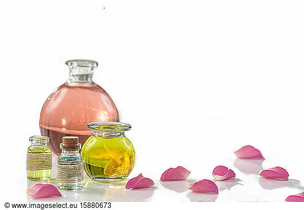 Rose flower petals with aromatherapy essential oil glass bottle isolated on white   background  copy-space