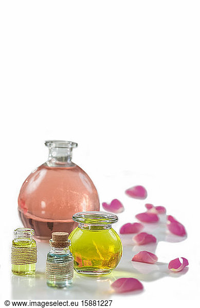 Rose flower petals with aromatherapy essential oil glass bottle isolated on white   background  copy-space