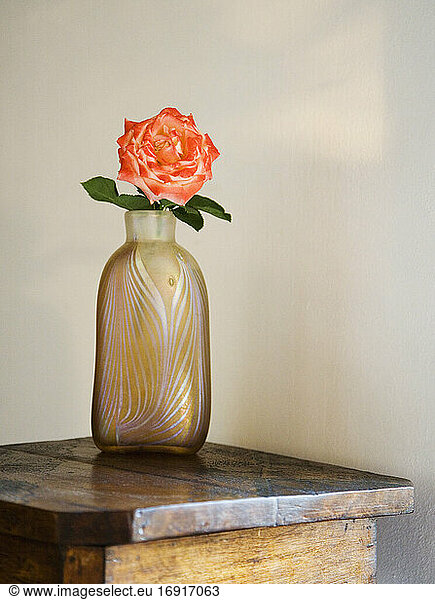 Rose in a glass vase on wooden table.